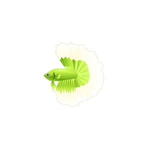 Lime Green Betta